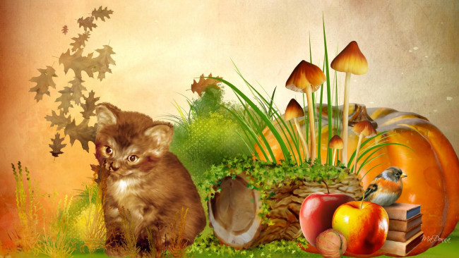 Обои картинки фото рисованные, животные,  коты, кот, птичка, грибы, яблоки, книги, тиква, листья