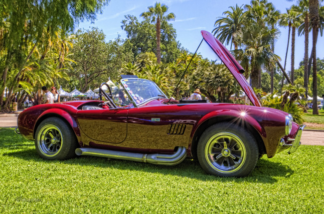 Обои картинки фото 1964 shelby cobra 289 roadster, автомобили, выставки и уличные фото, выставка, автошоу