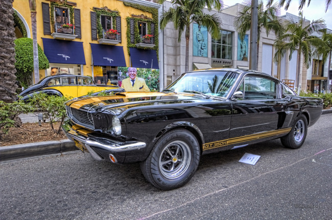 Обои картинки фото 1966 ford mustang shelby gt350h, автомобили, выставки и уличные фото, выставка, автошоу