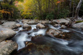 Картинка природа реки озера лес камни речка