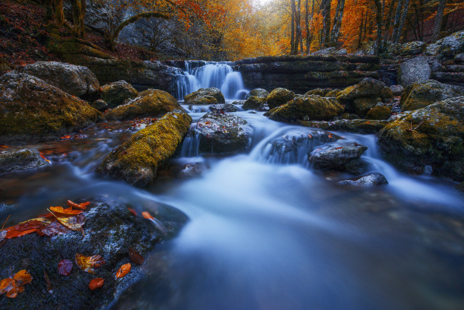 Обои картинки фото природа, водопады, камни, деревья, листья, ручей, пейзаж, осень, лес