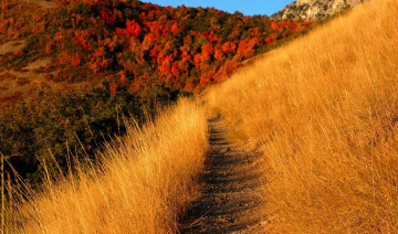 Картинка природа дороги горы осень тропа деревья трава
