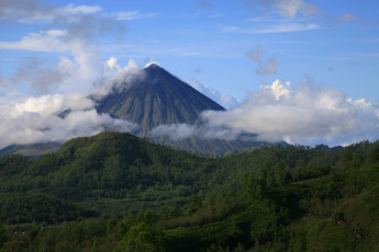 Картинка природа горы леса облака