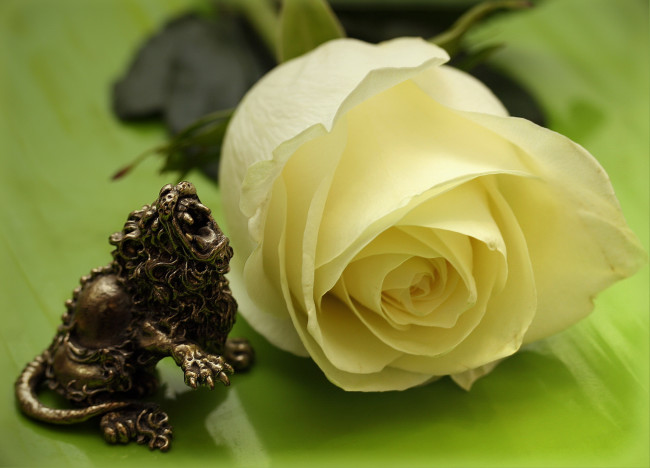 Обои картинки фото цветы, розы, фигурка