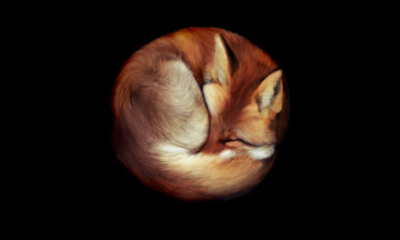 Картинка рисованные животные лисы рыжий лис лежит фон