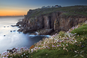 Картинка природа побережье цветы луг тиава крутой берег океан