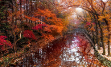 Картинка этюд багровых тонах природа реки озера красота осень краски лес река