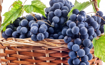 Картинка еда виноград корзинка урожай
