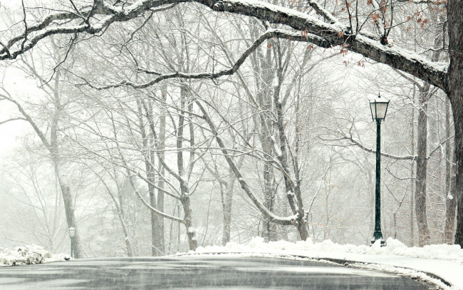 Обои картинки фото природа, зима, снег, дорога, деревья, пейзаж