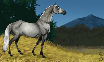 Картинка рисованное животные +лошади фон лошадь взгляд