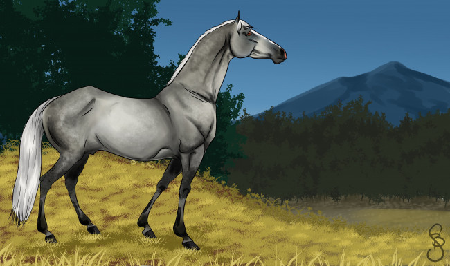 Обои картинки фото рисованное, животные,  лошади, фон, лошадь, взгляд