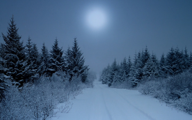 Обои картинки фото природа, зима, солнце, дорога, снег, лес