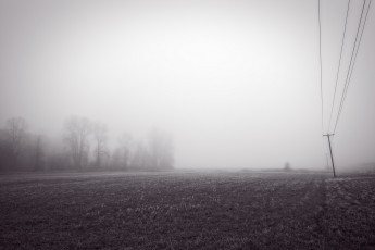 Картинка природа поля туман поле утро