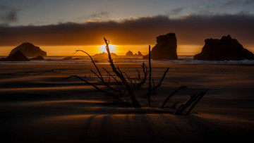Картинка природа восходы закаты берег море