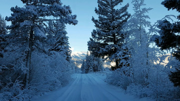 Картинка природа зима деревья дорога снег
