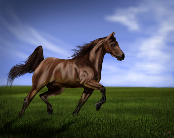 Обои картинки фото рисованное, животные,  лошади, луг, трава, небо, облака, лошадь