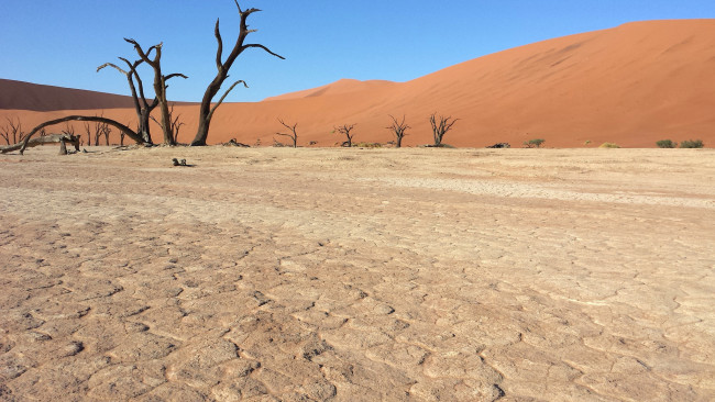 Обои картинки фото природа, пустыни, африка, песок, намибия, пустыня
