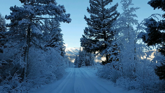 Обои картинки фото природа, зима, деревья, дорога, снег