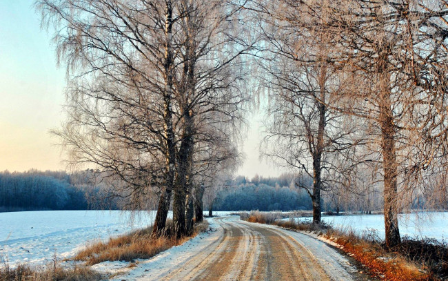 Обои картинки фото природа, дороги, березы, снег, дорога