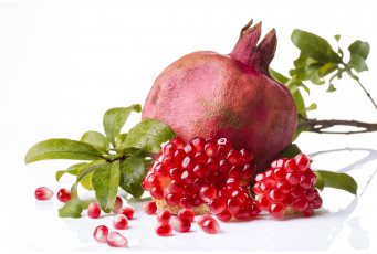 Картинка еда гранат зерна pomegranate фрукт