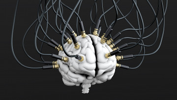Картинка 3д+графика другое+ other brain кабели мозг провода