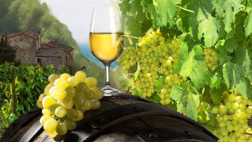 Картинка еда напитки +вино виноград вино море