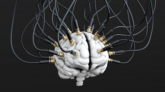 Обои картинки фото 3д графика, другое , other, brain, кабели, мозг, провода