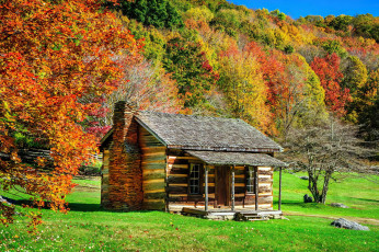 Картинка города -+здания +дома лес деревянный дом осень
