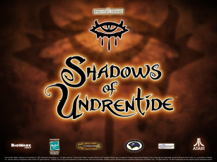 Картинка neverwinter nights видео игры shadows of undrentide