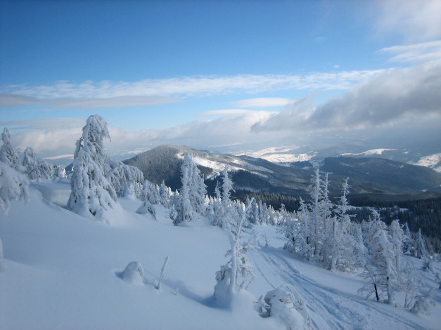 Обои картинки фото природа, зима, украина, карпаты, свидовец, раховский, район, гора, стиг, снег, деревья
