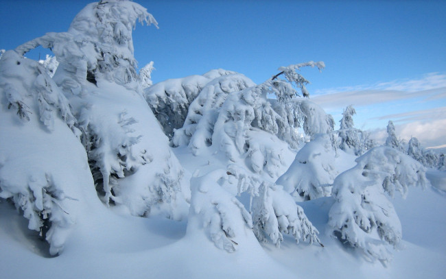 Обои картинки фото природа, зима, украина, склон, гора, стиг, карпаты