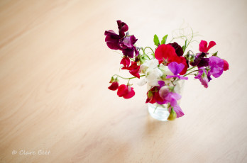Картинка цветы душистый+горошек clare beet ваза букет горошек душистый