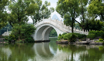 Картинка природа парк растительность мост река