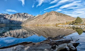 Картинка природа реки озера озеро бревно горы