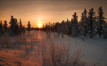 Картинка природа восходы закаты закат зима снег деревья