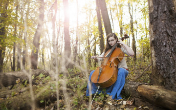 Картинка музыка -+другое fall autumn cello