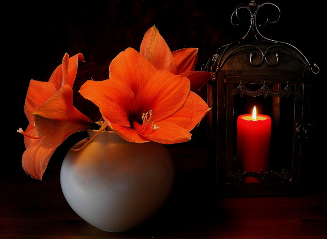 Обои картинки фото цветы, амариллисы,  гиппеаструмы, свеча, ваза