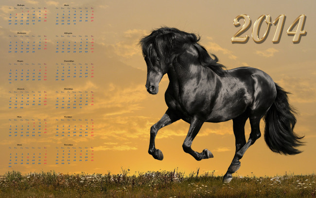 Обои картинки фото календари, животные, закат, поле, вороная, лошадь