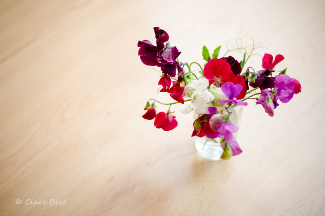 Обои картинки фото цветы, душистый горошек, clare, beet, ваза, букет, горошек, душистый