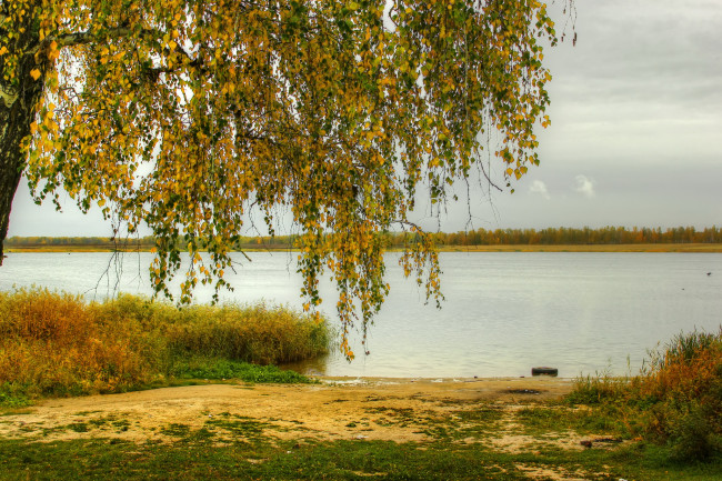 Обои картинки фото природа, реки, озера, река, осень, деревья