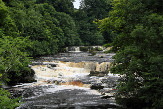 Обои картинки фото природа, водопады, водопад, англия, yorkshire, aysgarth, falls, река, лес