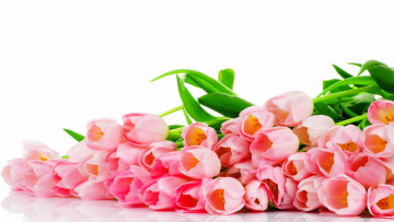 Картинка цветы тюльпаны букет розовые tulips pink