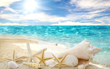 обоя разное, ракушки,  кораллы,  декоративные и spa-камни, summer, sand, sunshine, sea, beach, пляж, звезды, песок, солнце, море, starfishes, seashells