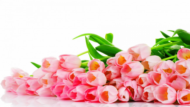 Обои картинки фото цветы, тюльпаны, букет, розовые, tulips, pink