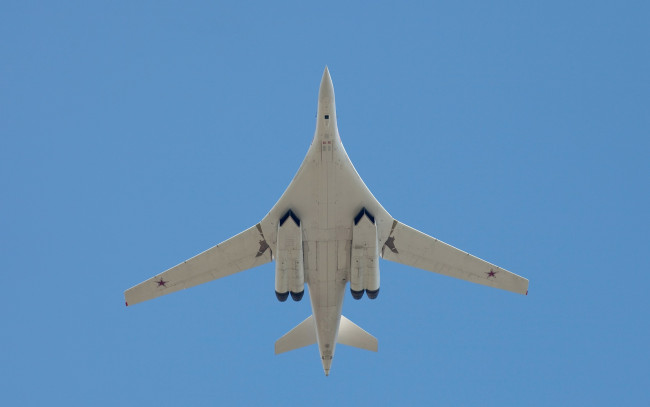 Обои картинки фото авиация, боевые самолёты, белый, лебедь
