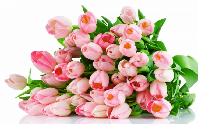 Обои картинки фото цветы, тюльпаны, букет, розовые, tulips, pink