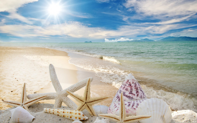 Обои картинки фото разное, ракушки,  кораллы,  декоративные и spa-камни, песок, солнце, beach, starfishes, seashells, море, пляж, звезды, sky, sand, summer, sunshine, sea