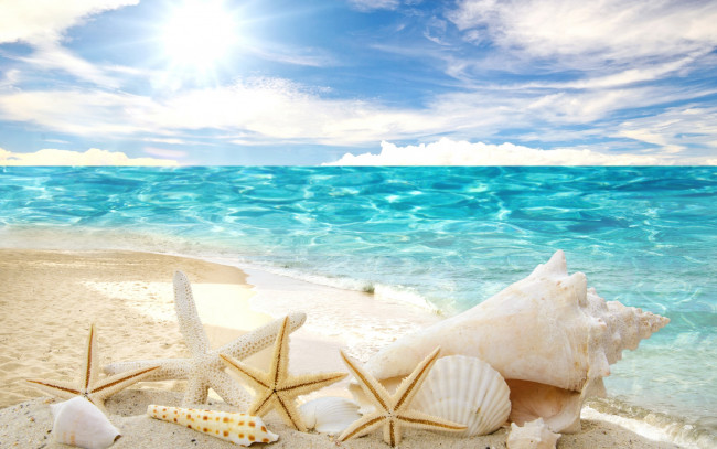 Обои картинки фото разное, ракушки,  кораллы,  декоративные и spa-камни, summer, sand, sunshine, sea, beach, пляж, звезды, песок, солнце, море, starfishes, seashells