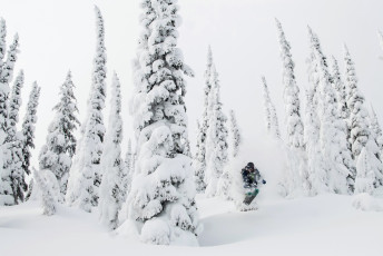 Картинка спорт лыжный+спорт горнолыжный деревья снег