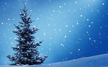 Картинка природа деревья снег снегопад дерево ёлка